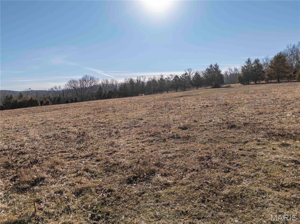 12328 Top Ozark Road Belgrade, MO 63622 - Photo 44 of 81