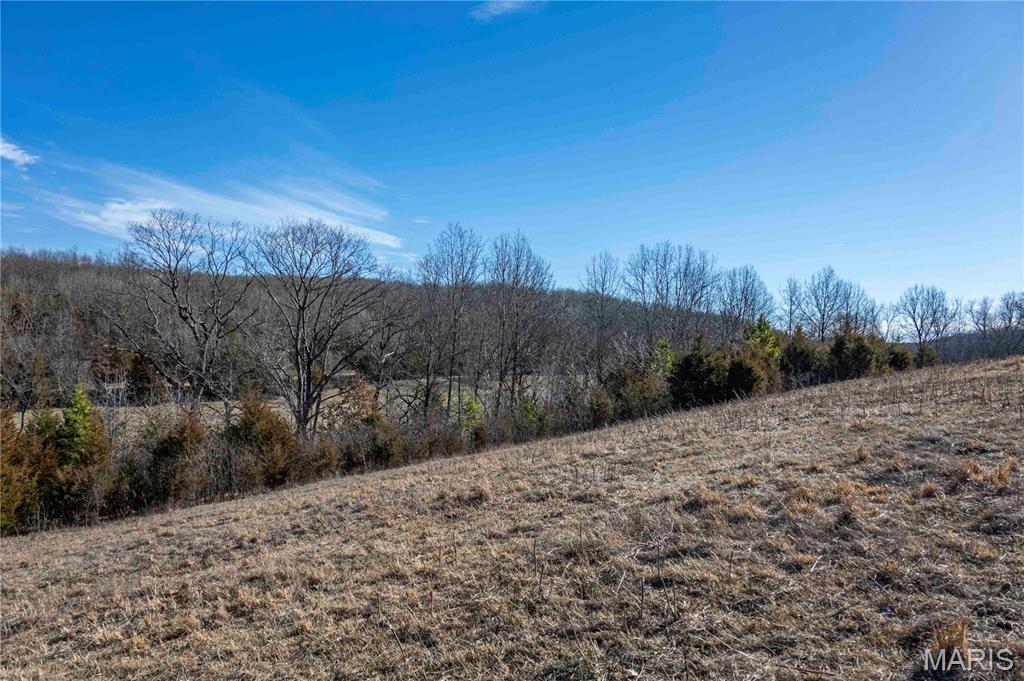 12328 Top Ozark Road Belgrade, MO 63622 - Photo 46 of 81