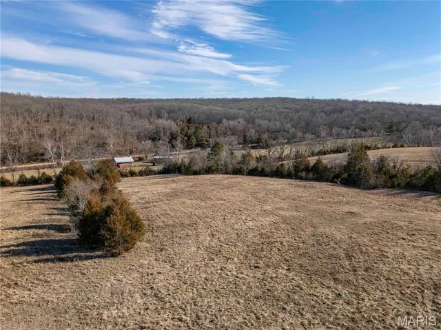 $1 | 12328 Top Ozark Road, Belgrade, MO 63622