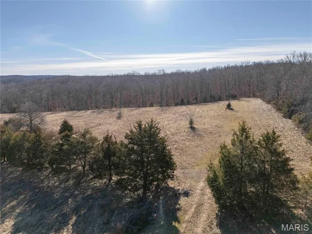 $1 | 12328 Top Ozark Road, Belgrade, MO 63622