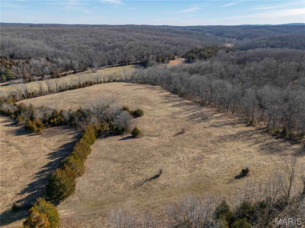 12328 Top Ozark Road Belgrade, MO 63622 - Photo 49 of 81