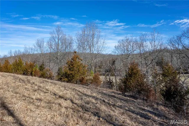 $1 | 12328 Top Ozark Road, Belgrade, MO 63622