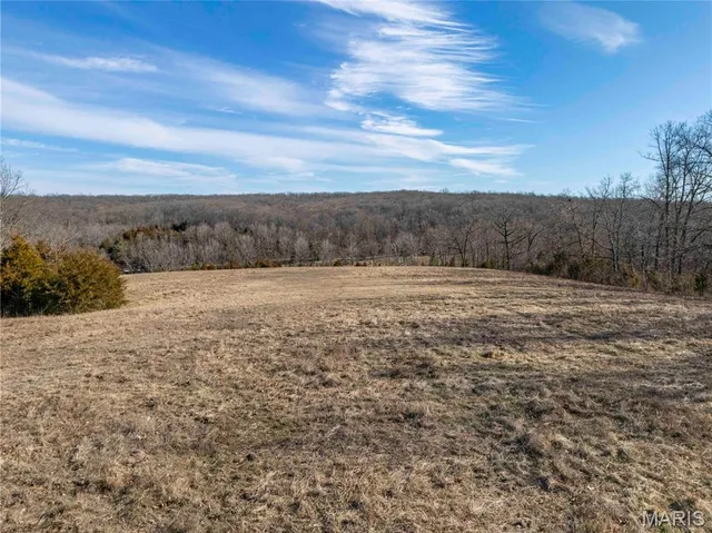 $1 | 12328 Top Ozark Road, Belgrade, MO 63622