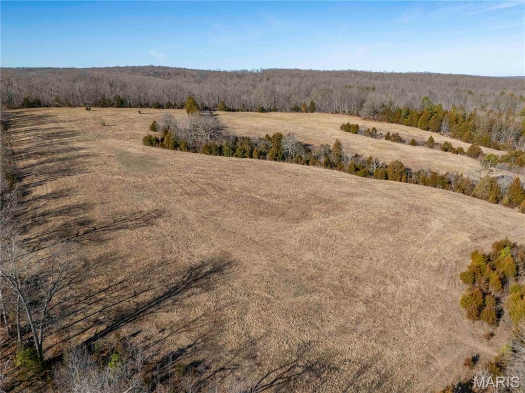 12328 Top Ozark Road Belgrade, MO 63622 - Photo 53 of 81