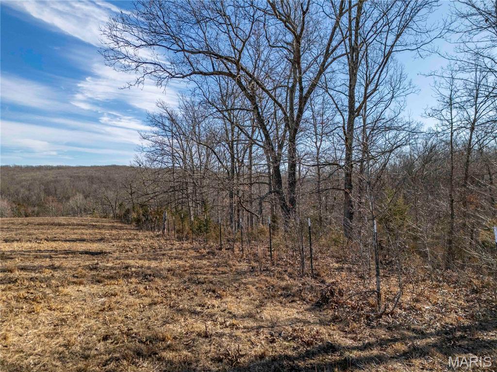 12328 Top Ozark Road Belgrade, MO 63622 - Photo 56 of 81