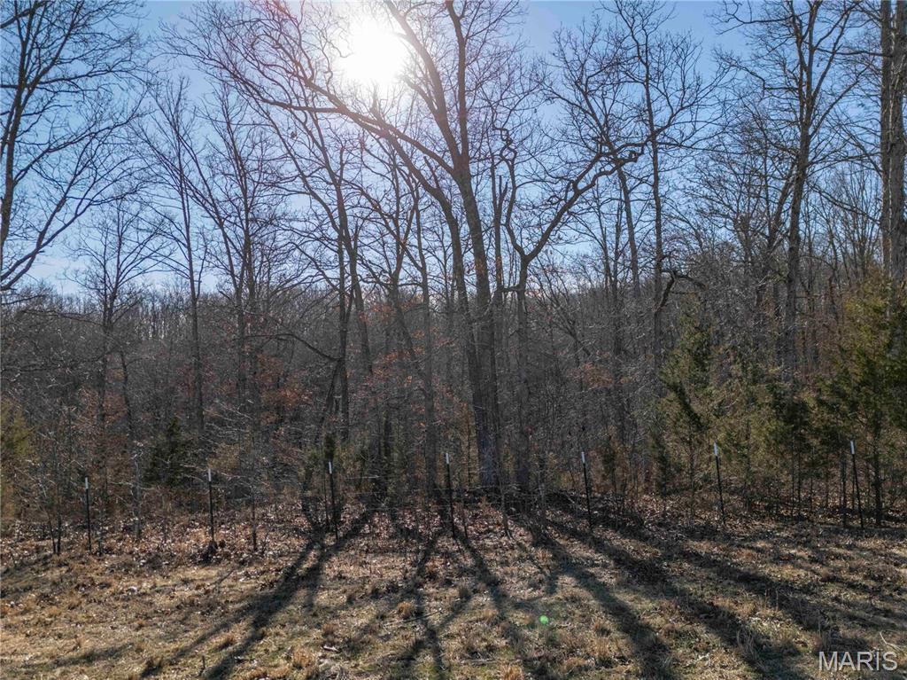 12328 Top Ozark Road Belgrade, MO 63622 - Photo 57 of 81