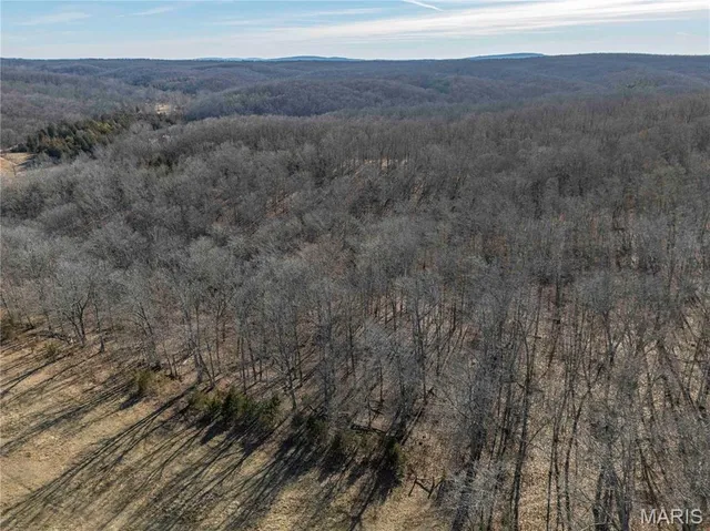 $1 | 12328 Top Ozark Road, Belgrade, MO 63622