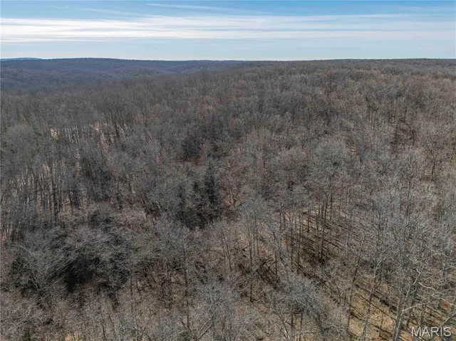 $1 | 12328 Top Ozark Road, Belgrade, MO 63622