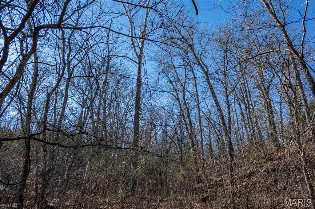 12328 Top Ozark Road Belgrade, MO 63622 - Photo 61 of 81