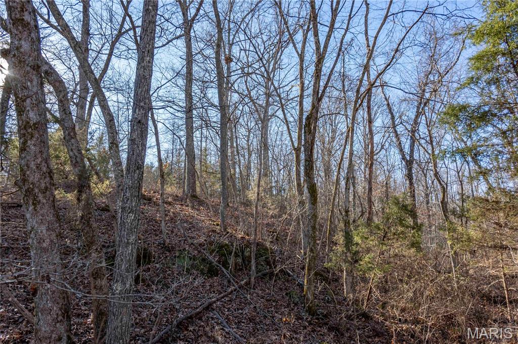 12328 Top Ozark Road Belgrade, MO 63622 - Photo 62 of 81