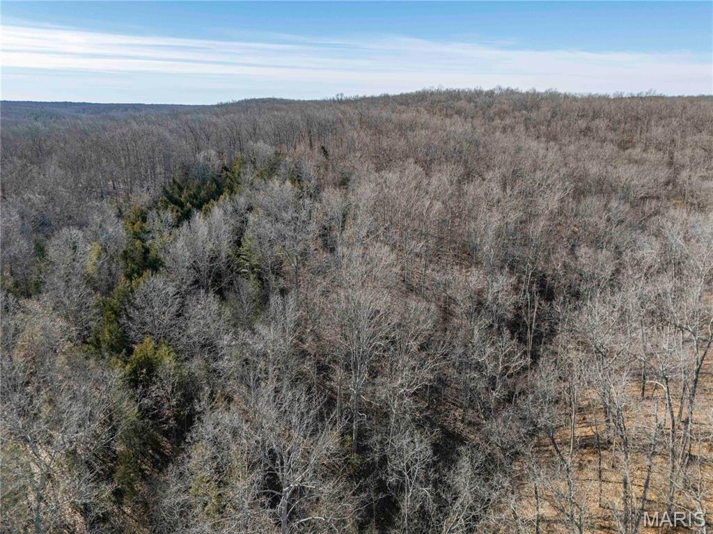 12328 Top Ozark Road Belgrade, MO 63622 - Photo 63 of 81