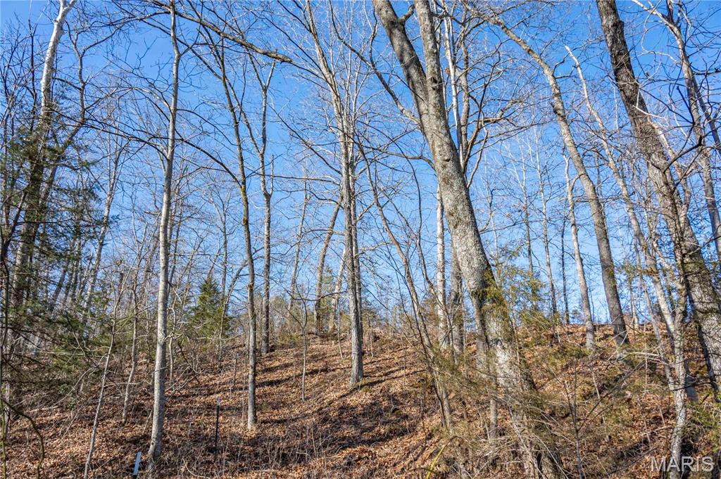 12328 Top Ozark Road Belgrade, MO 63622 - Photo 65 of 81