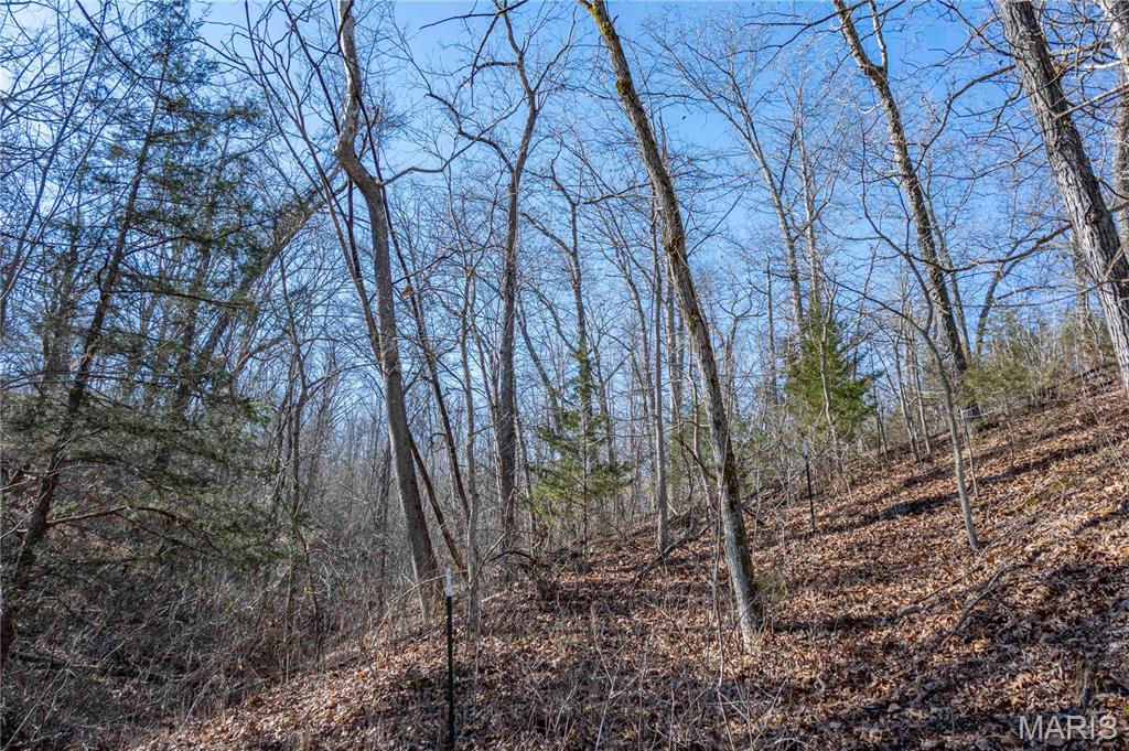 12328 Top Ozark Road Belgrade, MO 63622 - Photo 66 of 81