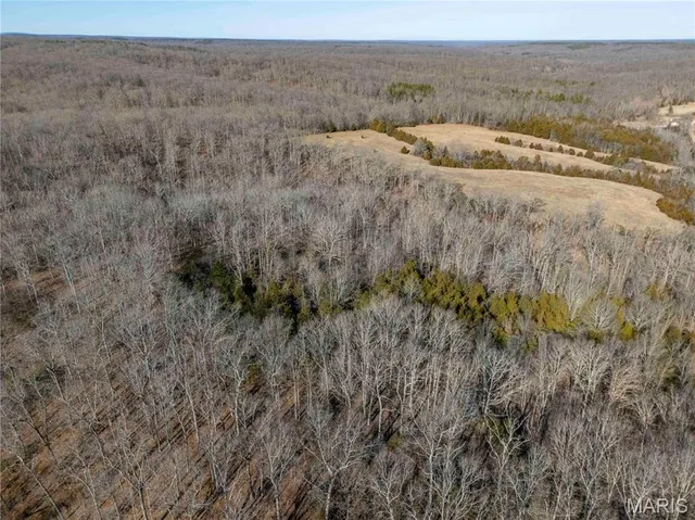 $1 | 12328 Top Ozark Road, Belgrade, MO 63622