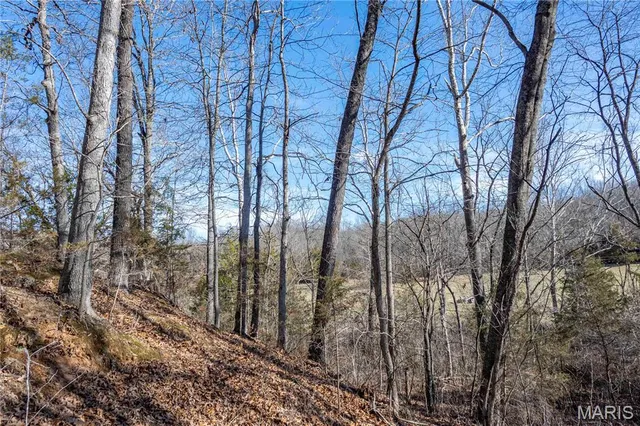 $1 | 12328 Top Ozark Road, Belgrade, MO 63622