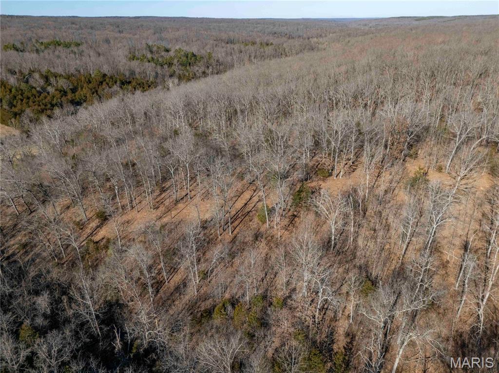 12328 Top Ozark Road Belgrade, MO 63622 - Photo 72 of 81