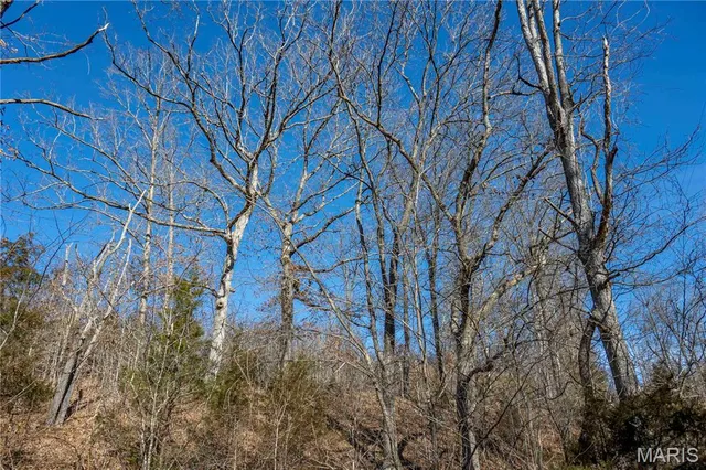 $1 | 12328 Top Ozark Road, Belgrade, MO 63622