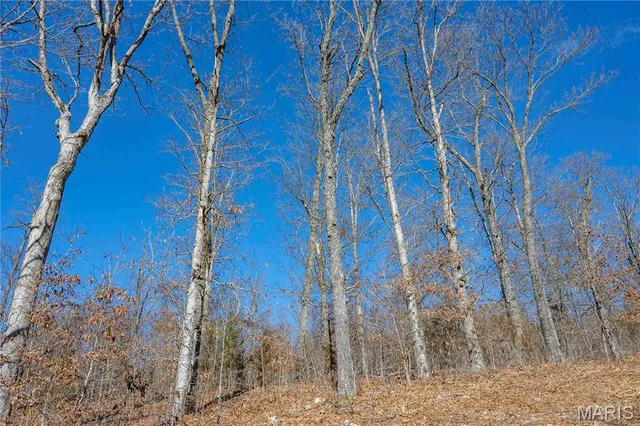 $1 | 12328 Top Ozark Road, Belgrade, MO 63622