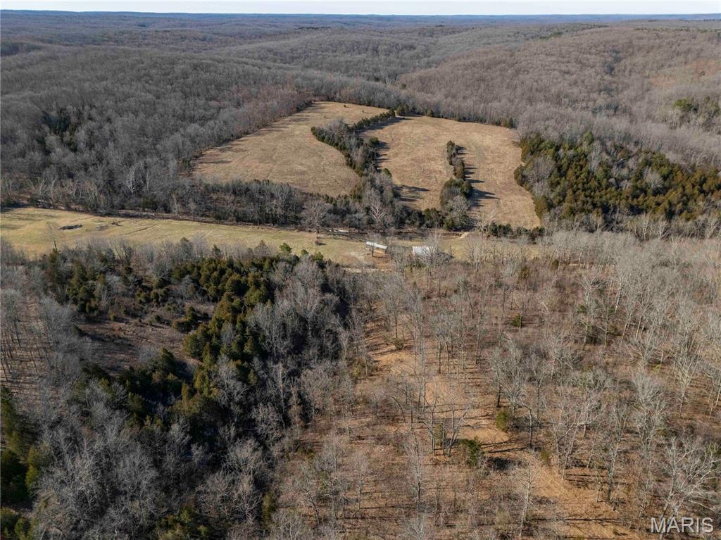 12328 Top Ozark Road Belgrade, MO 63622 - Photo 75 of 81