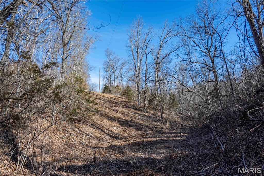 12328 Top Ozark Road Belgrade, MO 63622 - Photo 76 of 81