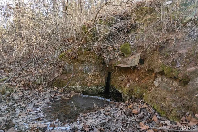 $1 | 12328 Top Ozark Road, Belgrade, MO 63622