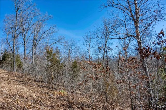 $1 | 12328 Top Ozark Road, Belgrade, MO 63622