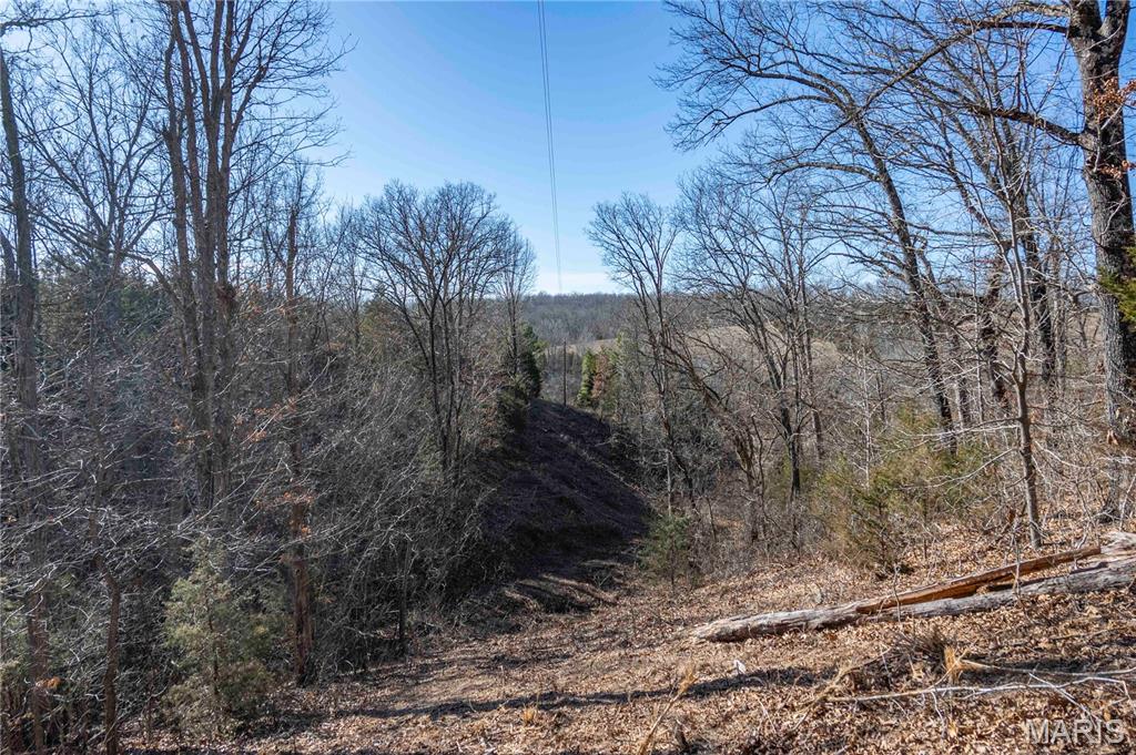 12328 Top Ozark Road Belgrade, MO 63622 - Photo 79 of 81