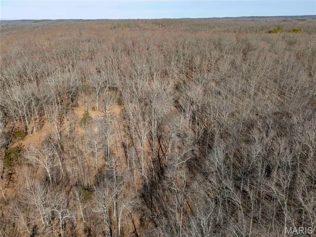 $1 | 12328 Top Ozark Road, Belgrade, MO 63622