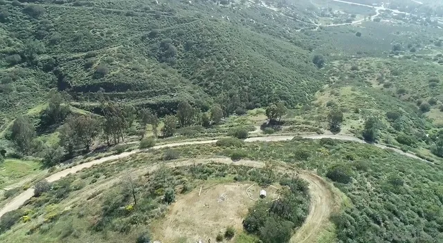 a view of a forest with a yard