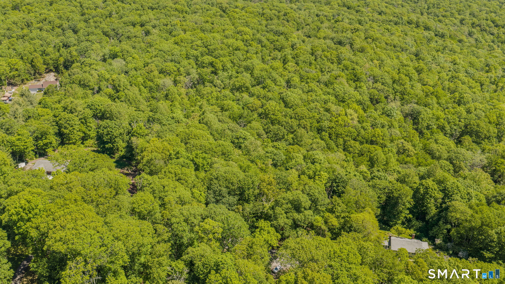 Lot10-b1 Foot Hills Road Higganum, CT 06441 - Photo 26 of 33 a view of a big yard with plants and large trees