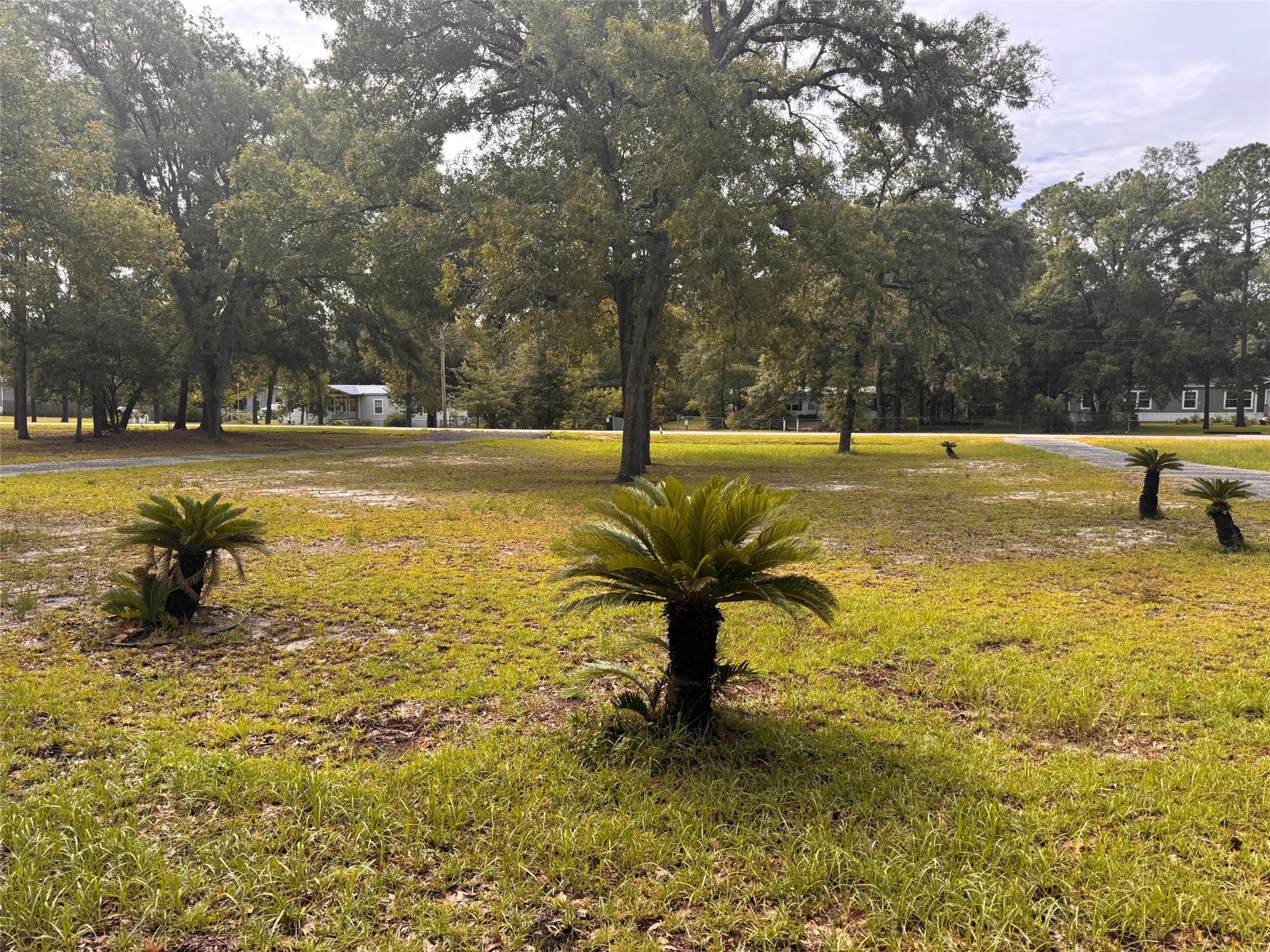 85187 Joann Road Yulee, FL 32097 - Photo 5 of 17