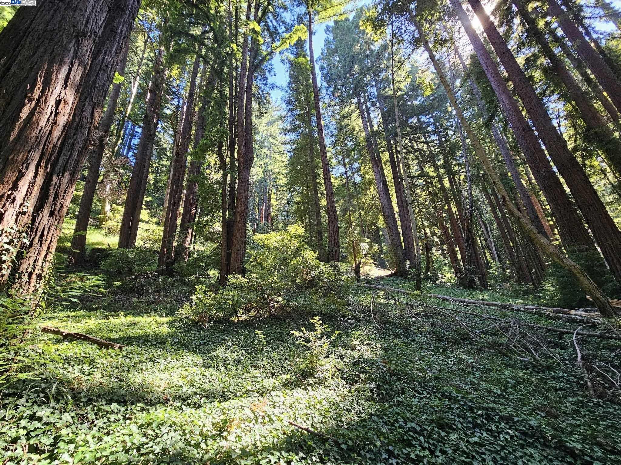 a view of outdoor space and green space