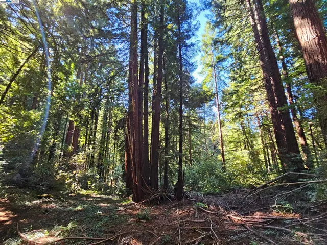 $750,000 | Lot26 Old La Honda Road, Woodside, CA 94062