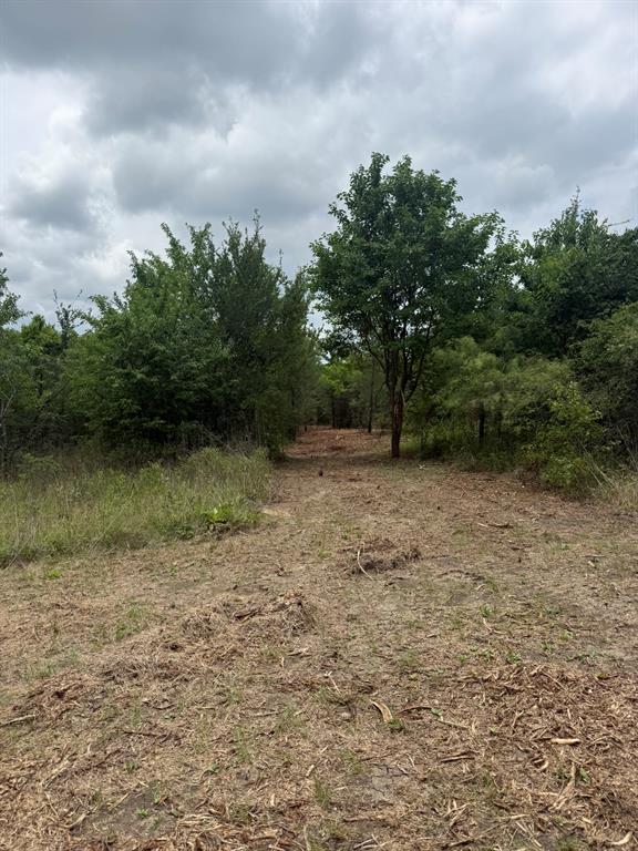 Tbd McKnight Road Ferris, TX 75125 - Photo 3 of 26