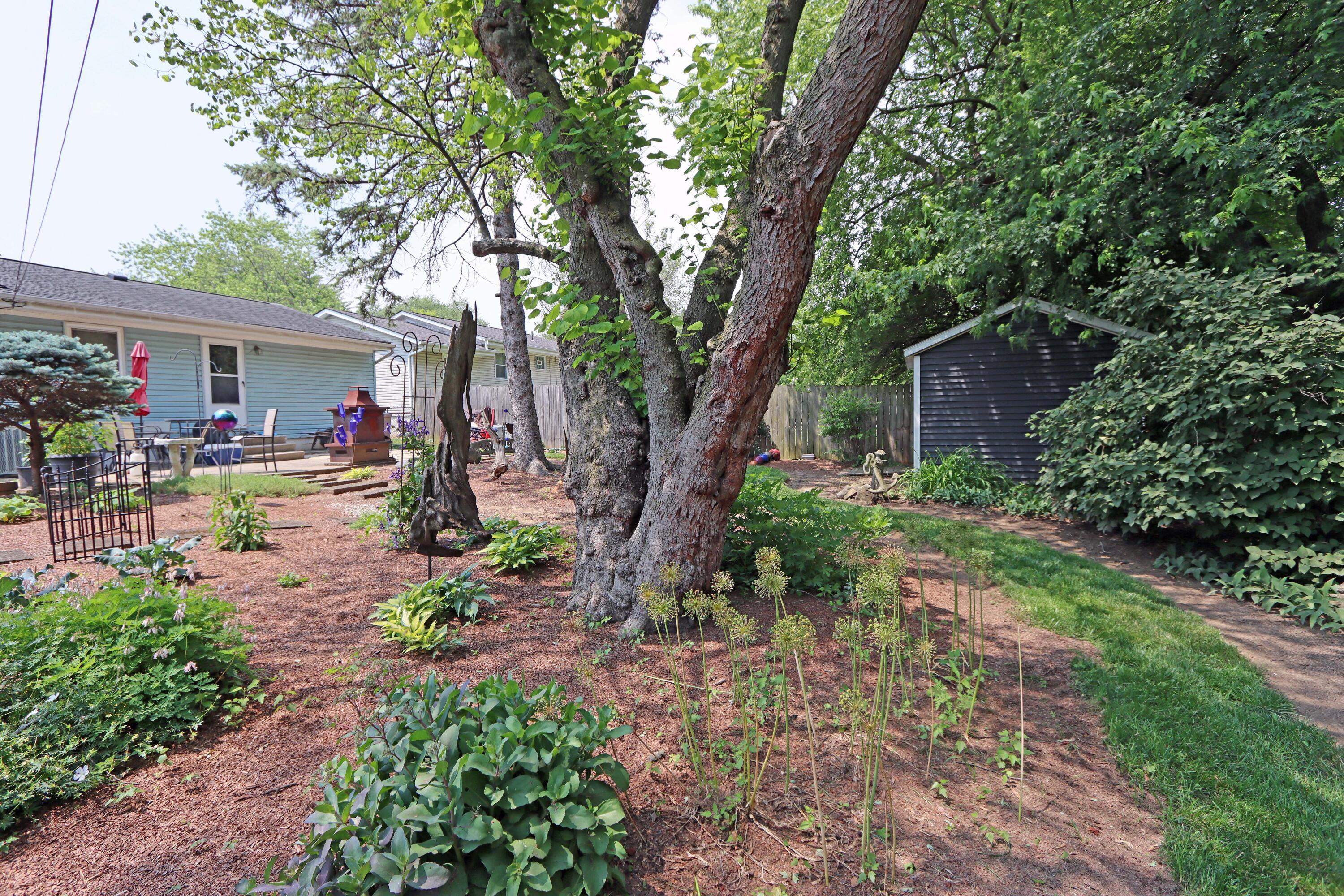 4792 Mc Fadden Road Columbus, OH 43229 - Photo 63 of 66 IMG_5566_edited-1
