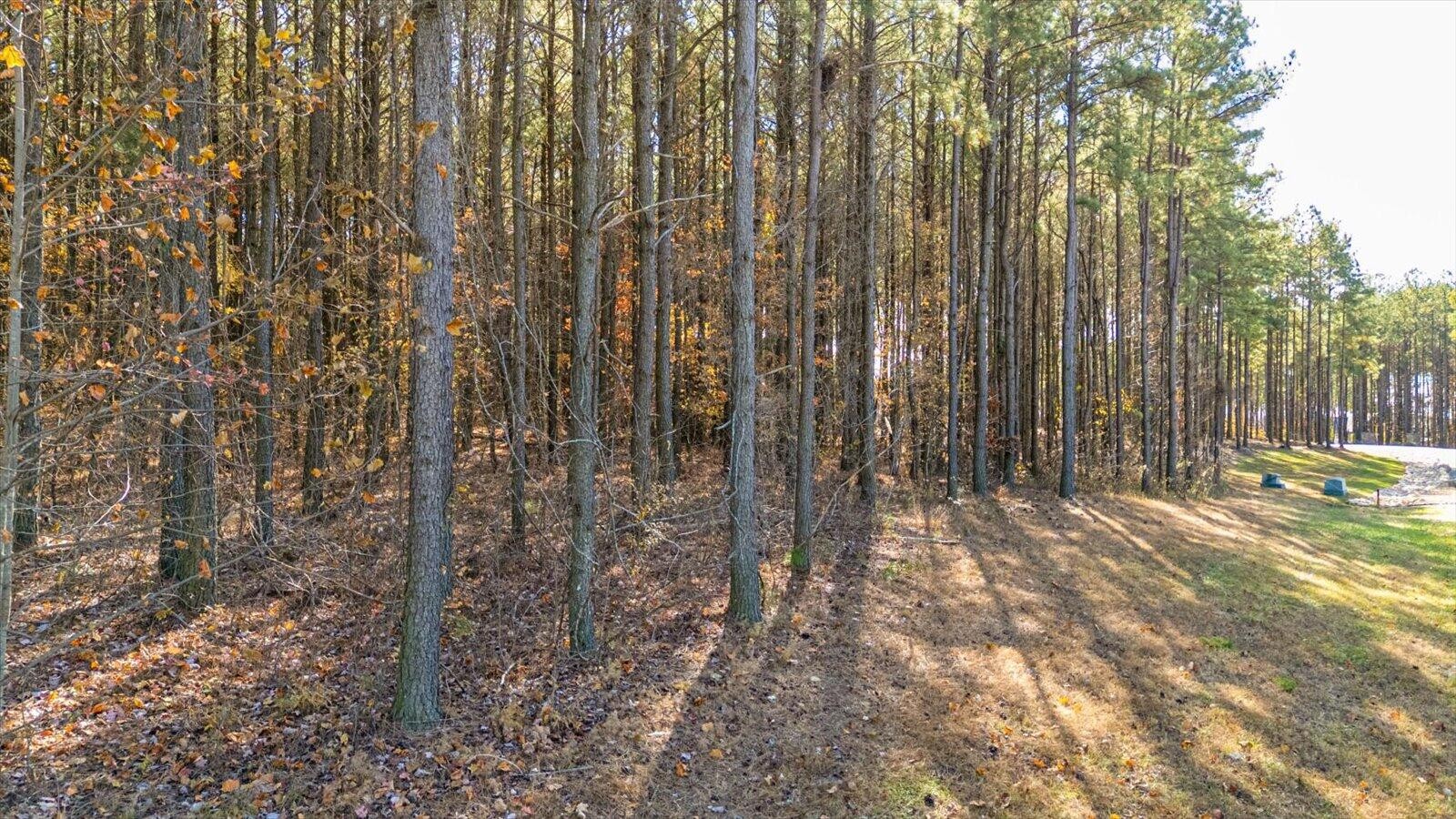 0 Raulston Fls Road Jasper, TN 37347 - Photo 5 of 38 a view of backyard with trees