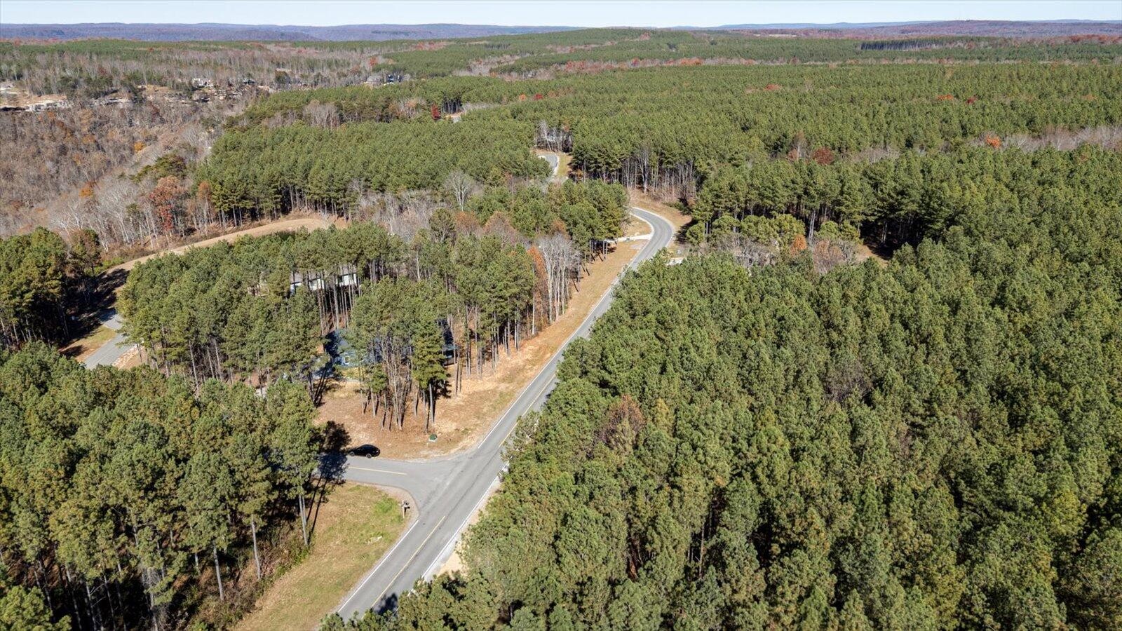 0 Raulston Fls Road Jasper, TN 37347 - Photo 7 of 38 a view of a forest with an outdoor space