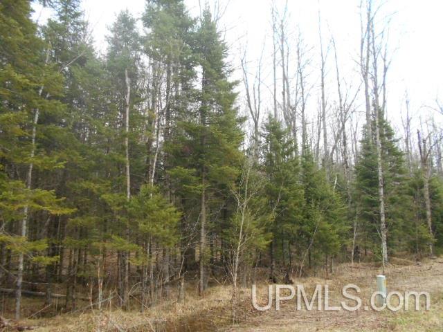 Tbd Cross Cut Road, Unit 9 Florence, WI 54121 - Photo 1 of 4