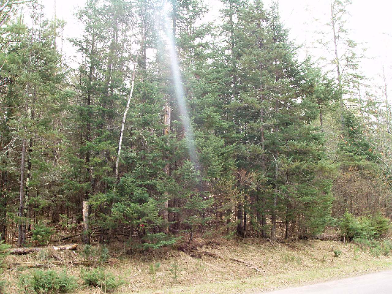 On Fish Trap Road Winter, WI 54896 - Photo 3 of 5 Gallery Image 3
