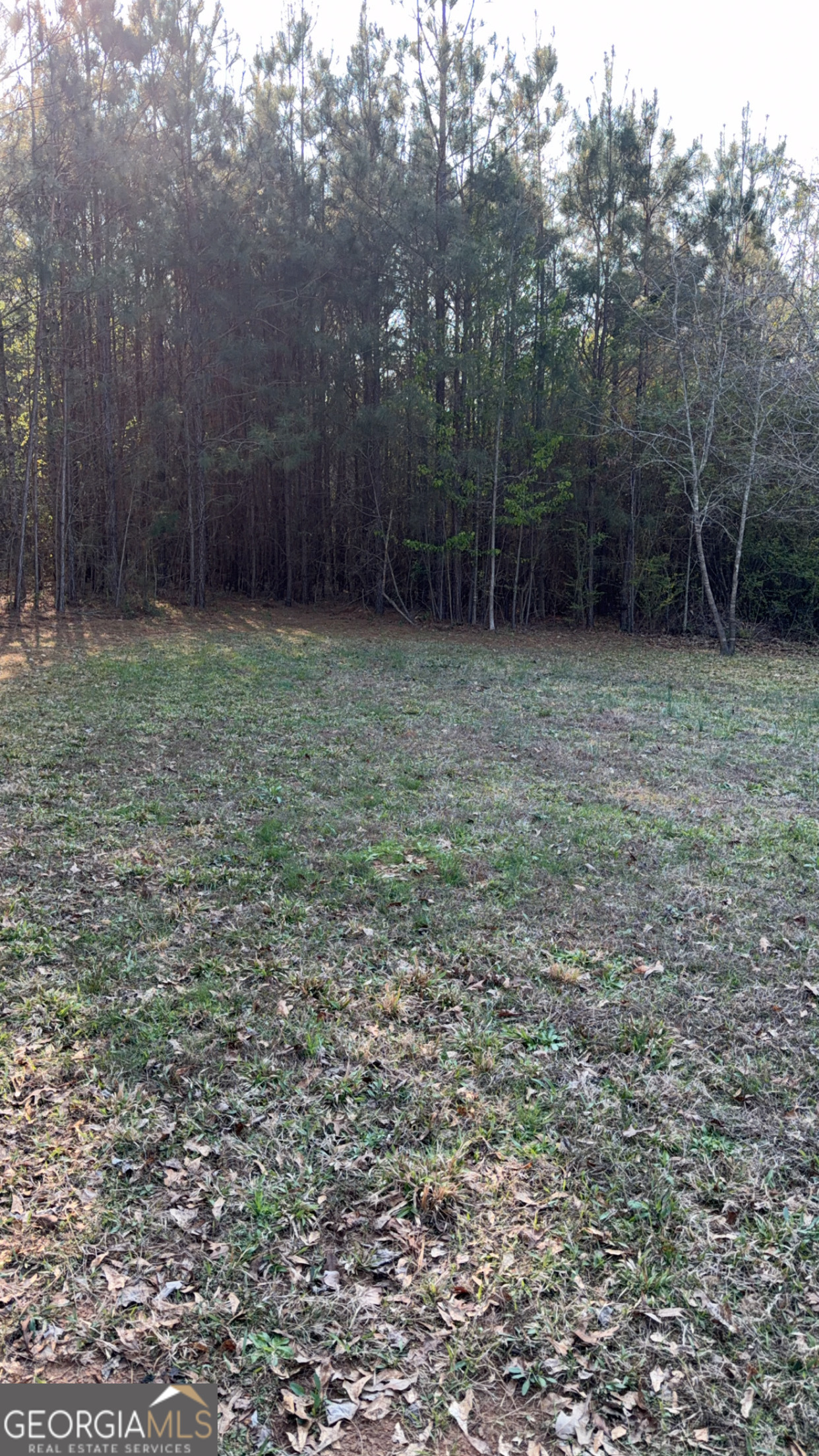 2186 5 Notch Road Franklin, GA 30217 - Photo 24 of 27