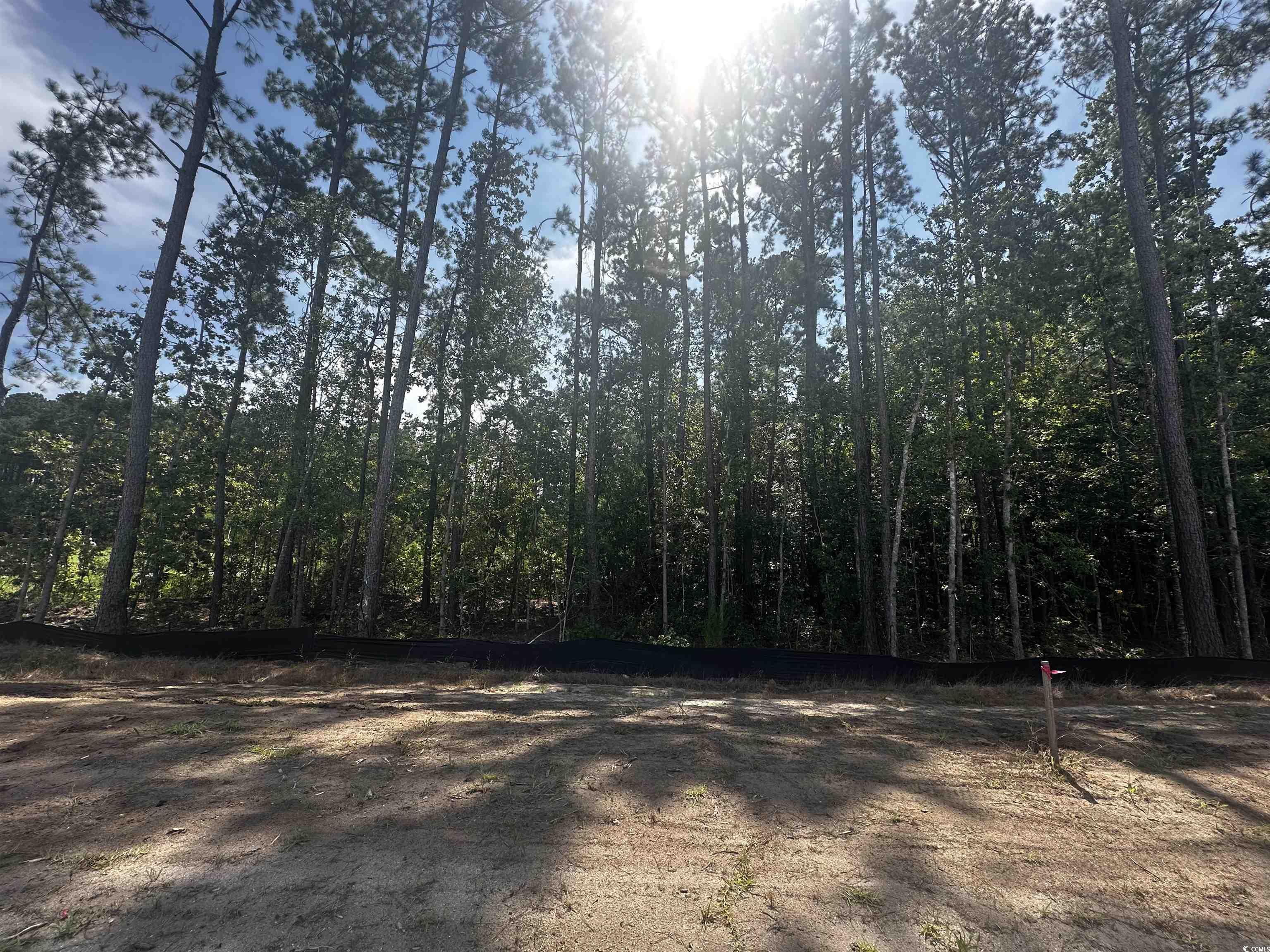 404 Ireland Way, Unit 404 Murrells Inlet, SC 29576 - Photo 12 of 14 View of yard featuring a wooded view