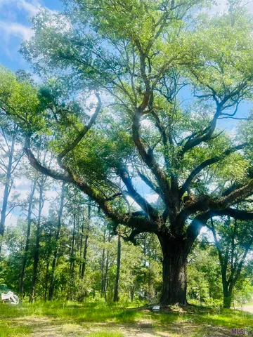 $110,900 | 9756 Plank Road, Clinton, LA 70722