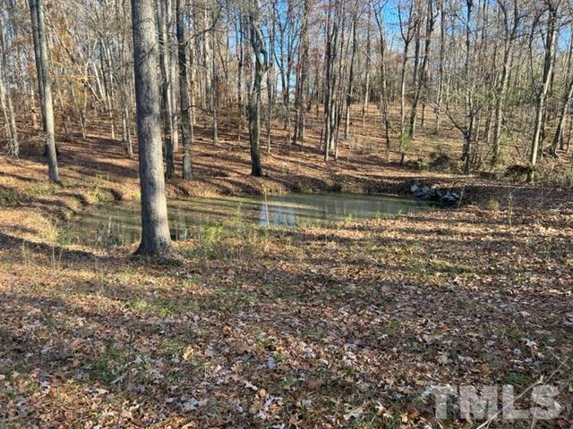 3041 Soapstone Mountain Road Staley, NC 27355 - Photo 3 of 22 a view of swimming pool with tall trees