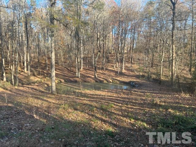 3041 Soapstone Mountain Road Staley, NC 27355 - Photo 22 of 22 a view of empty room with wooden floor