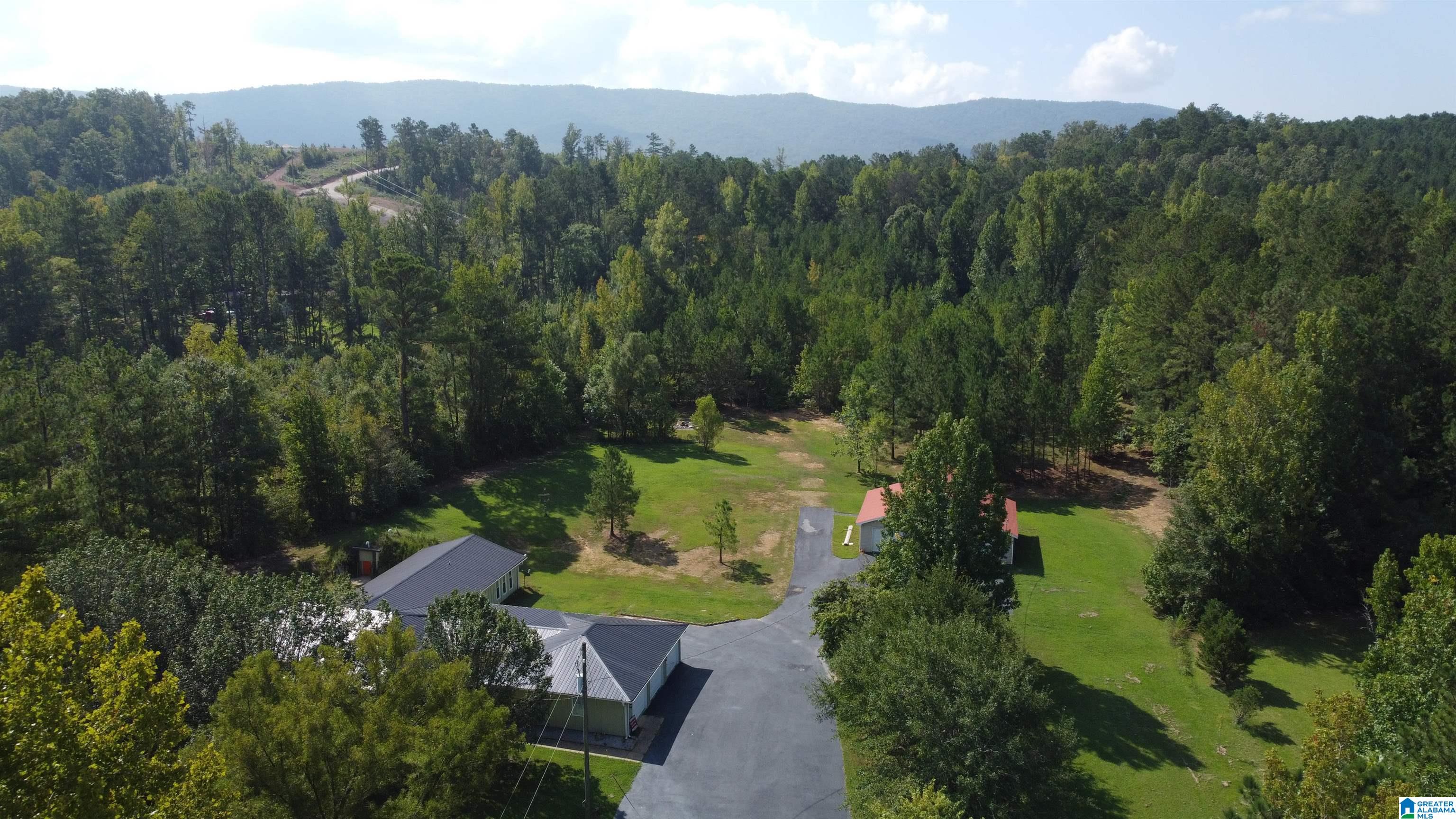 3304 Possum Trot Road Piedmont, AL 36272 - Photo 41 of 60