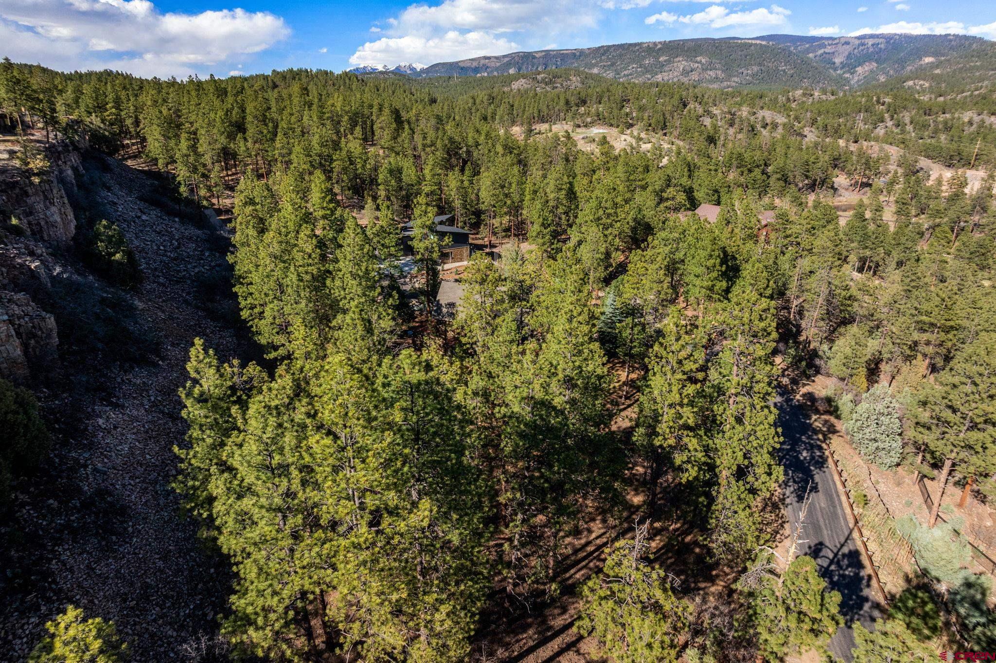 47 Ambush Canyon Durango, CO 81301 - Photo 4 of 18