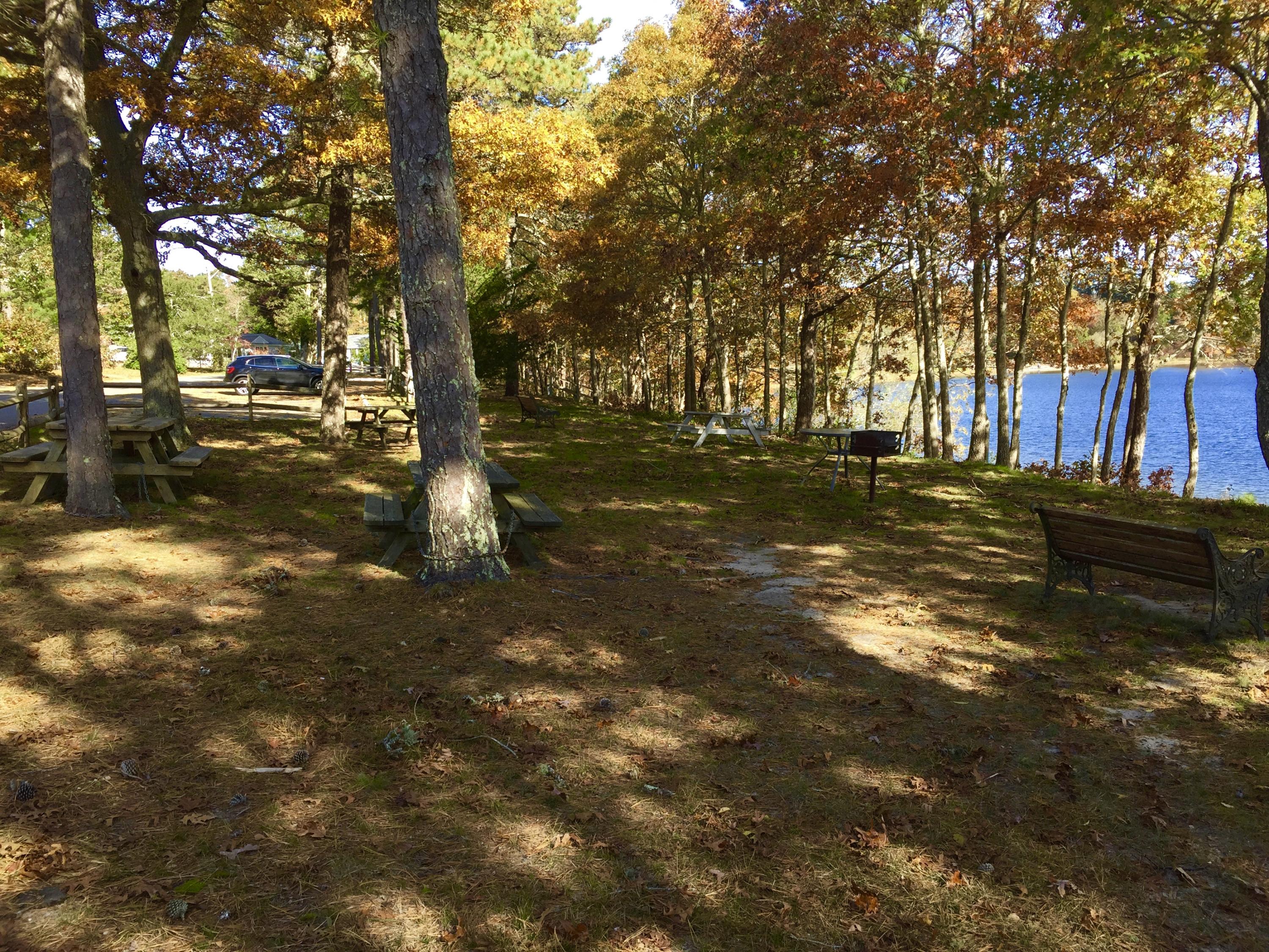 99 Raspberry Lane Marstons Mills, MA 02648 - Photo 21 of 25 fullsizeoutput_c4bb
