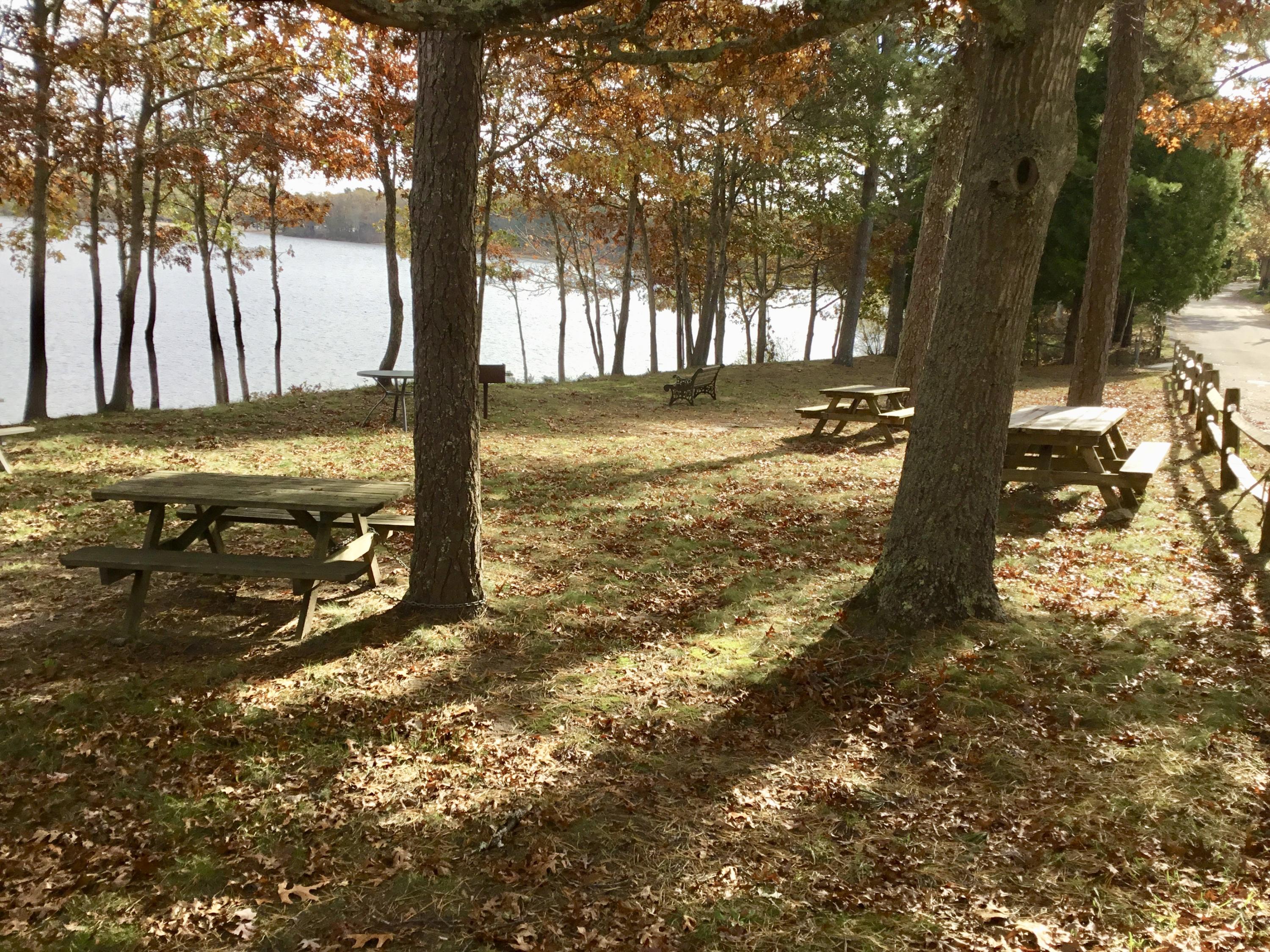 99 Raspberry Lane Marstons Mills, MA 02648 - Photo 23 of 25 fullsizeoutput_c4e9
