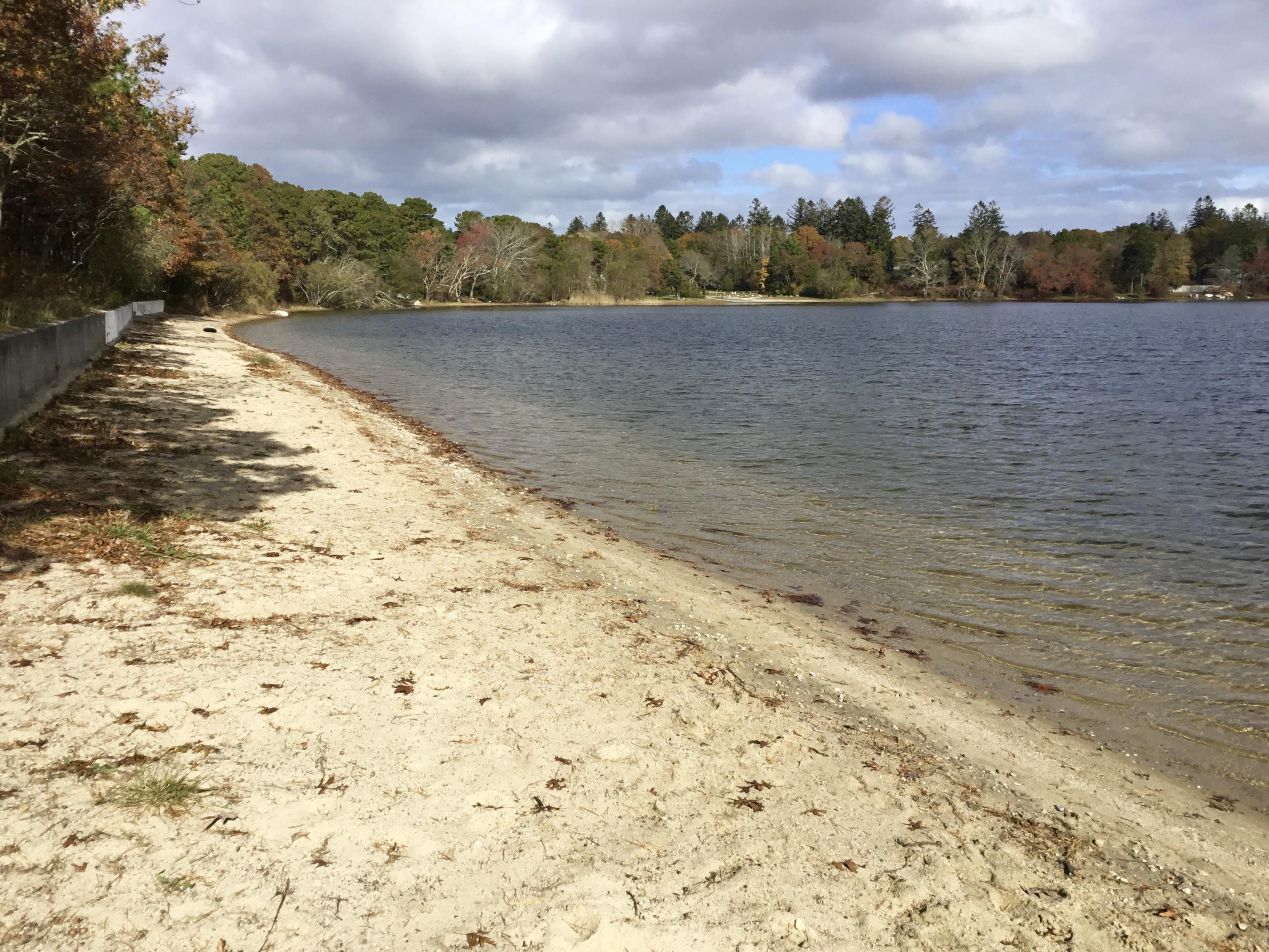 99 Raspberry Lane Marstons Mills, MA 02648 - Photo 25 of 25 fullsizeoutput_c4e7