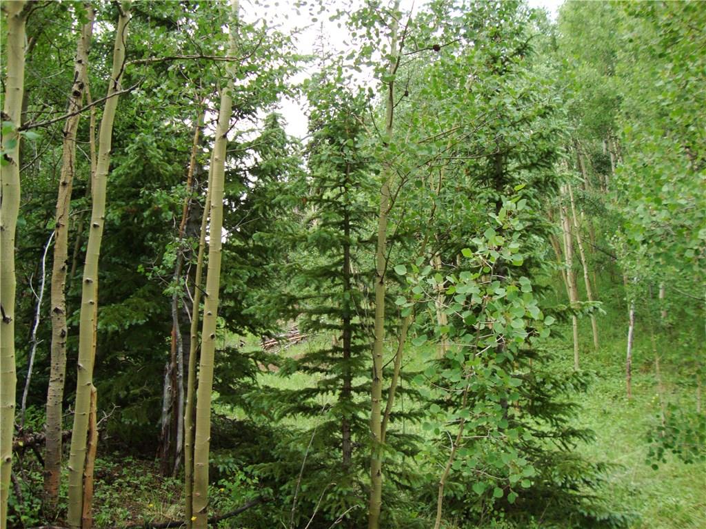 37 Mine Road Alma, CO 80420 - Photo 1 of 24 Gallery Image 1